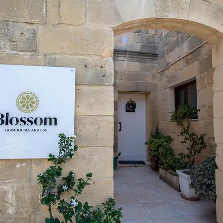 Villa Blossom *